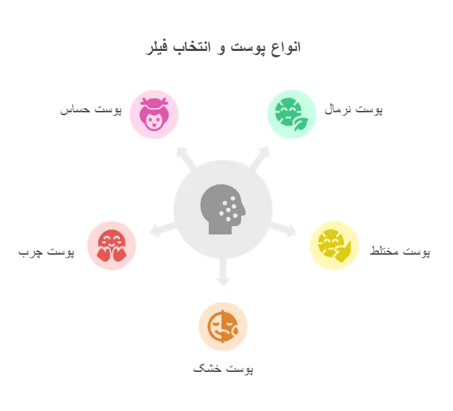 انواع پوست و ویژگیهای منحصربهفرد آنها